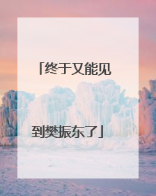 终于又能见到樊振东了