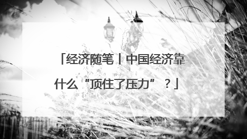 经济随笔丨中国经济靠什么“顶住了压力”？