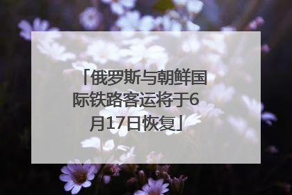 俄罗斯与朝鲜国际铁路客运将于6月17日恢复