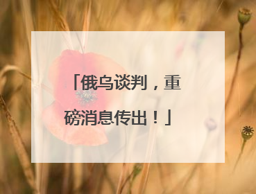 俄乌谈判，重磅消息传出！