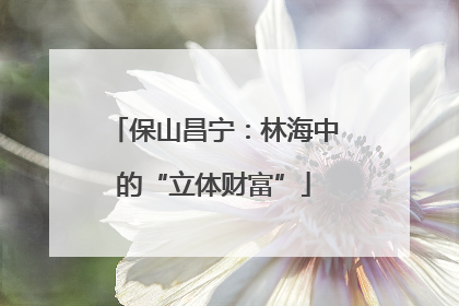 保山昌宁：林海中的“立体财富”
