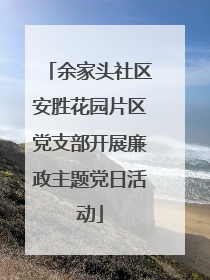 余家头社区安胜花园片区党支部开展廉政主题党日活动