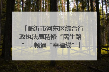 临沂市河东区综合行政执法局精修“民生路”，畅通“幸福线”