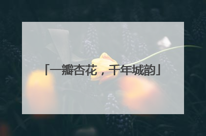 一瓣杏花，千年城韵