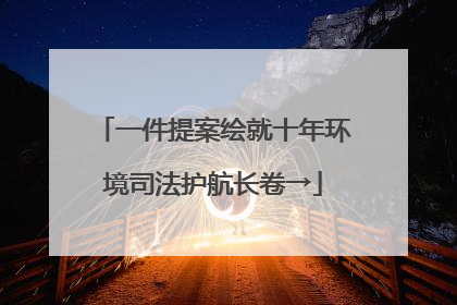 一件提案绘就十年环境司法护航长卷→