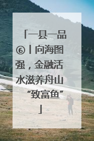 一县一品⑥丨向海图强，金融活水滋养舟山“致富鱼”