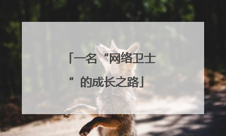 一名“网络卫士”的成长之路