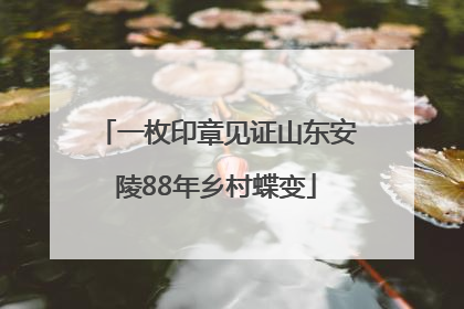 一枚印章见证山东安陵88年乡村蝶变