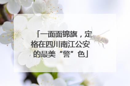 一面面锦旗，定格在四川南江公安的最美“警”色