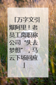 万字文引爆阿里！老员工离职称公司“失去梦想”，马云下场回应
