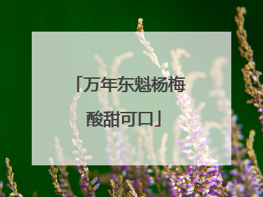 万年东魁杨梅 酸甜可口