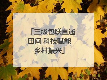 三级包联直通田间 科技赋能乡村振兴