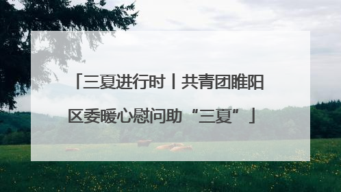三夏进行时丨共青团睢阳区委暖心慰问助“三夏”