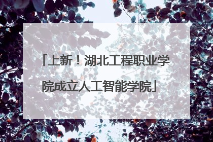 上新！湖北工程职业学院成立人工智能学院