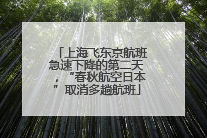 上海飞东京航班急速下降的第二天，“春秋航空日本”取消多趟航班