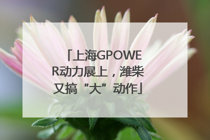 上海GPOWER动力展上，潍柴又搞“大”动作