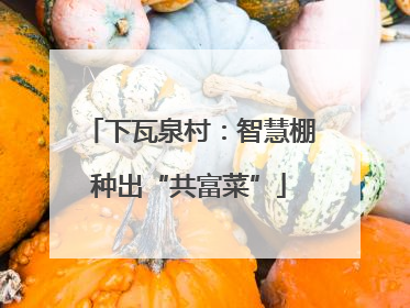 下瓦泉村：智慧棚种出“共富菜”