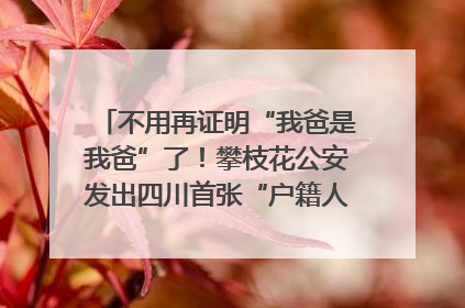不用再证明“我爸是我爸”了！攀枝花公安发出四川首张“户籍人口直系亲属关系谱”