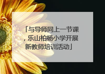 与导师同上一节课，乐山柏杨小学开展新教师培训活动