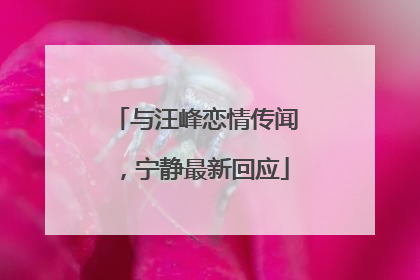 与汪峰恋情传闻，宁静最新回应