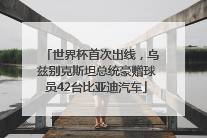 世界杯首次出线，乌兹别克斯坦总统豪赠球员42台比亚迪汽车