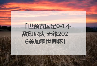 世预赛国足0-1不敌印尼队 无缘2026美加墨世界杯