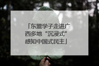 东盟学子走进广西多地“沉浸式”感知中国式民主
