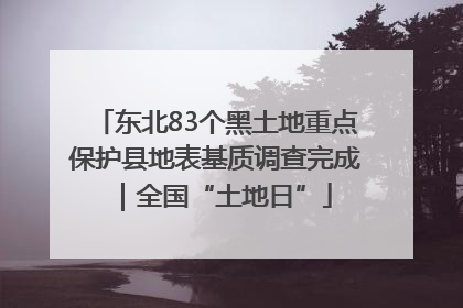 东北83个黑土地重点保护县地表基质调查完成｜全国“土地日”