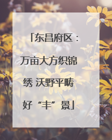 东昌府区：万亩大方织锦绣 沃野平畴好“丰”景