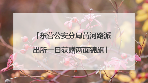 东营公安分局黄河路派出所一日获赠两面锦旗