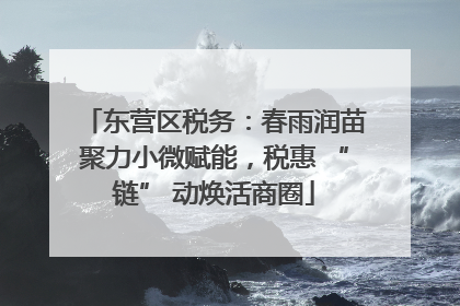 东营区税务：春雨润苗聚力小微赋能，税惠 “链” 动焕活商圈