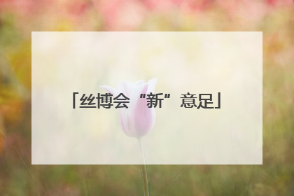 丝博会“新”意足