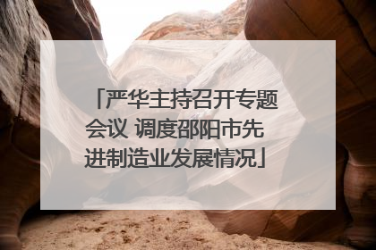 严华主持召开专题会议 调度邵阳市先进制造业发展情况
