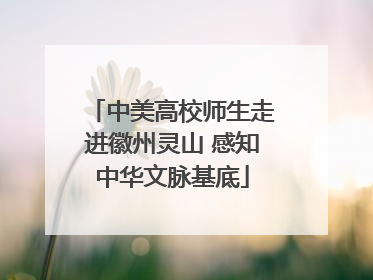 中美高校师生走进徽州灵山 感知中华文脉基底
