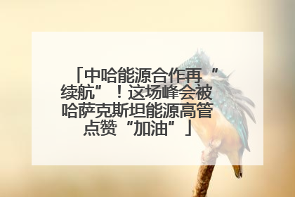 中哈能源合作再“续航”！这场峰会被哈萨克斯坦能源高管点赞“加油”