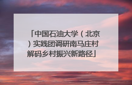 中国石油大学（北京）实践团调研南马庄村解码乡村振兴新路径