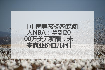 中国男孩杨瀚森闯入NBA：拿到2000万美元薪酬，未来商业价值几何