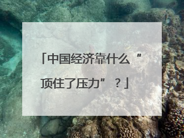 中国经济靠什么“顶住了压力”？