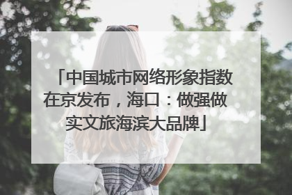 中国城市网络形象指数在京发布，海口：做强做实文旅海滨大品牌