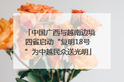 中国广西与越南边境四省启动“复明18号”为中越民众送光明