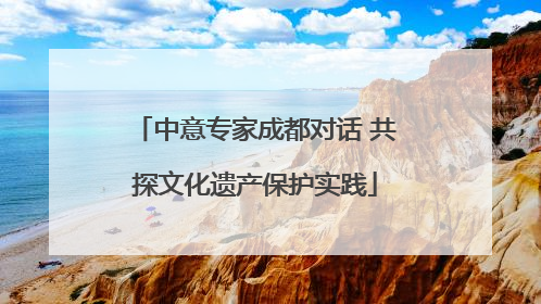 中意专家成都对话 共探文化遗产保护实践