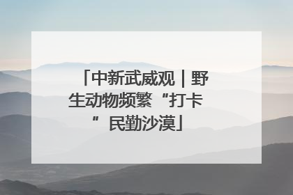 中新武威观｜野生动物频繁“打卡”民勤沙漠