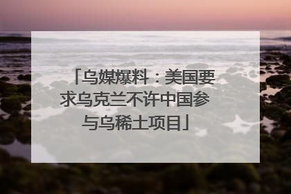 乌媒爆料：美国要求乌克兰不许中国参与乌稀土项目
