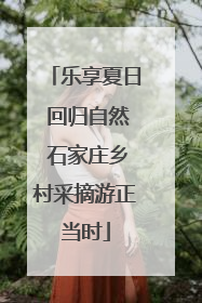 乐享夏日 回归自然 石家庄乡村采摘游正当时