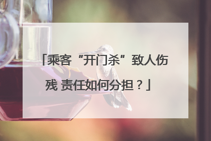 乘客“开门杀”致人伤残 责任如何分担？