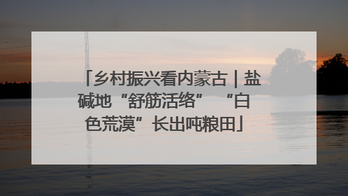 乡村振兴看内蒙古｜盐碱地“舒筋活络” “白色荒漠”长出吨粮田