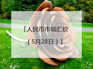 人民币市场汇价（5月28日）