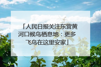 人民日报关注东营黄河口候鸟栖息地：更多飞鸟在这里安家
