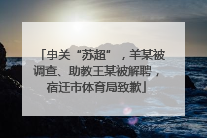 事关“苏超”，羊某被调查、助教王某被解聘，宿迁市体育局致歉