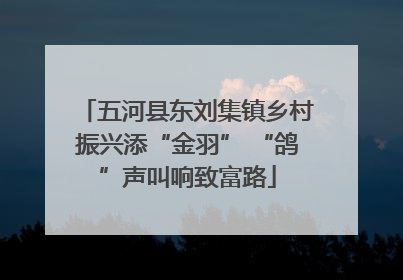五河县东刘集镇乡村振兴添“金羽” “鸽”声叫响致富路